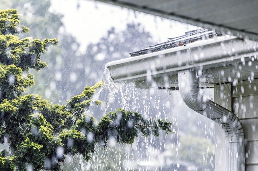 How to Find Wind & Rain Damage After Central Massachusetts Thunderstorms